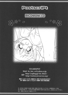 (C81) [SUGAR(S)POT (Sugar Picola, Tsukishima Yuuko)] PICOMANI:10 (Mirai Nikki) - page 25