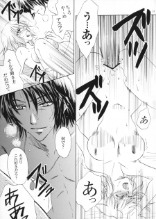 (C70) [Purincho. (Purin)] Luce (Mobile Suit Gundam SEED, Mobile Suit Gundam SEED DESTINY) - page 14