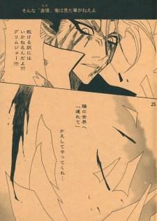 (SUPER17) [Funny Devil (Okada Reimi)] Shinjitsu no Kakera (Bleach) - page 24
