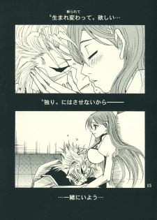 (SUPER17) [Funny Devil (Okada Reimi)] Shinjitsu no Kakera (Bleach) - page 14