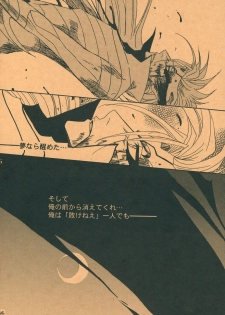 (SUPER17) [Funny Devil (Okada Reimi)] Shinjitsu no Kakera (Bleach) - page 25