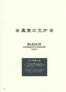 (SUPER17) [Funny Devil (Okada Reimi)] Shinjitsu no Kakera (Bleach) - page 2