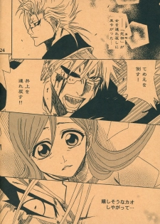 (SUPER17) [Funny Devil (Okada Reimi)] Shinjitsu no Kakera (Bleach) - page 23