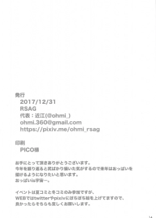 (C93) [RSAG (Ohmi)] Chaldea Ecchi Log (Fate/Grand Order) - page 13