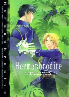 [Ronno & Kalus (Takada Bambi)] Hermaphrodite 3 (Fullmetal Alchemist) [English] [Secret Garden] - page 1