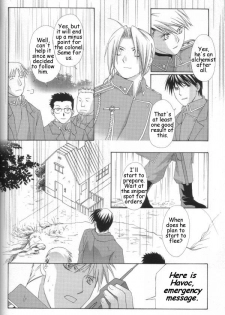 [Ronno & Kalus (Takada Bambi)] Hermaphrodite 6 (Fullmetal Alchemist) [English] [Secret Garden] - page 28