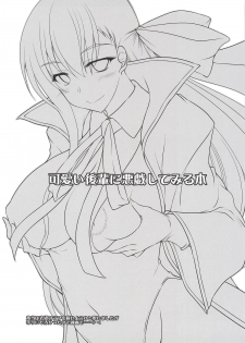 (SC2018 Autumn) [ELHEART'S (Ibuki Pon)] Kawaii Kouhai ni Itazura Shite Miru Hon (Fate/Grand Order) - page 2