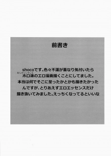 (C84) [SCO.LABO (shoco)] Kisama no Hajimete Ore no Mono! (Shaman King) - page 3