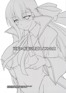 (SC2018 Autumn) [ELHEART'S (Ibuki Pon)] Kawaii Kouhai ni Itazura Shite Miru Hon (Fate/Grand Order) [Chinese] [三堆木头个人汉化] - page 2