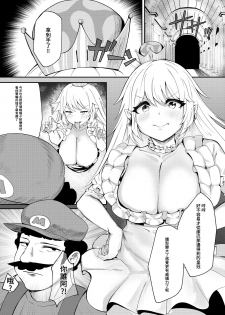 [Karin] 妄想本 (New Super Mario Bros. U Deluxe) [Chinese] - page 2