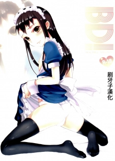 (C75) [abgrund (udk)] BD! (Narutaru) [Chinese] [刷牙子漢化] - page 1