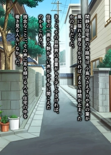 [NTR System] Kame no Ongaeshi Soushuuhen - page 3