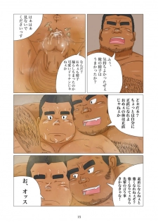 [MANJI STUDIO (Kousei)] Sumo-bu Monogatari ~Midara na Kachiku no Sodatekata~ - page 16