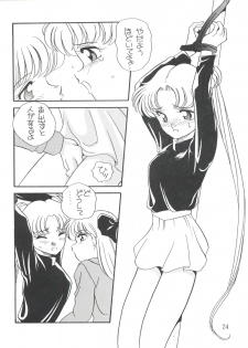 (C45) [Shishamo House (Araki Akira)] Elfin 9 (Bishoujo Senshi Sailor Moon) - page 24