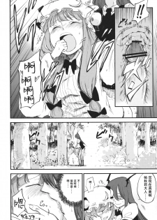 (Reitaisai 10) [Shironegiya (miya9)] Donten Library (Touhou Project) [Chinese] [水土不服汉化组] - page 19