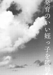 (C94) [Shimajiya (Shimaji)] Hatsuiku no Ii Meikko o Ryoujoku. [Chinese] [兔司姬漢化組] - page 4