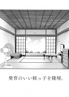 (C94) [Shimajiya (Shimaji)] Hatsuiku no Ii Meikko o Ryoujoku. [Chinese] [兔司姬漢化組] - page 3