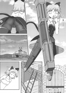 (C95) [Mohumohu Lily (Nyanko)] Neko to Kitsune no Amai Yume (Strike Witches) - page 3