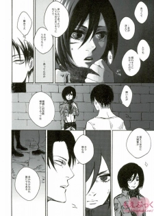 (SUPERKansai19) [QuintalLagosta (ebgr)] Kuro no Ookami Gin no Ookami (Shingeki no Kyojin) - page 5