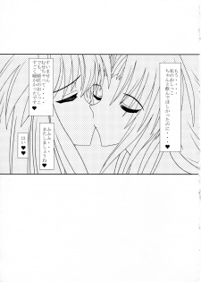 (C80) [Kyuushoku Dorobou (Murakumo)] Avenue 2 (Touhou Project) - page 22