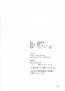 (C80) [Kyuushoku Dorobou (Murakumo)] Avenue 2 (Touhou Project) - page 25