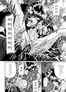 (C80) [Circle Taihei-Tengoku (Horikawa Gorou)] Haitoku no Kyoudan [Chinese] [魔劍个人汉化] - page 26