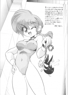 (C61) [... Mou Ii Desu. (Jinmu Hirohito)] DX Deluxe Chuuka Sanmai (Ranma 1/2) - page 3