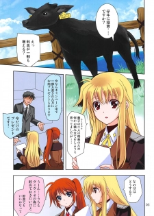 (COMIC1☆15) [PLUM (Kanna)] Magical SEED BBQ (Mahou Shoujo Lyrical Nanoha) - page 2