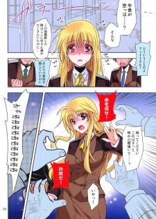 (COMIC1☆15) [PLUM (Kanna)] Magical SEED BBQ (Mahou Shoujo Lyrical Nanoha) - page 9