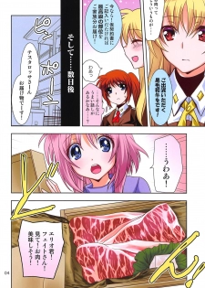 (COMIC1☆15) [PLUM (Kanna)] Magical SEED BBQ (Mahou Shoujo Lyrical Nanoha) - page 3