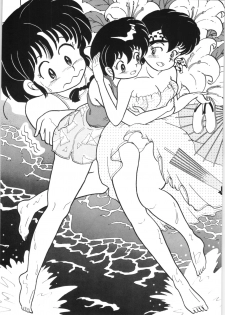 [Ashanti (Kisaragi Sara)] Ranma no Manma 2 (Ranma 1/2) - page 11