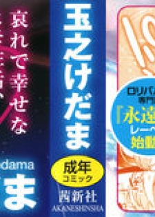 [Tamano Kedama] Boku wa Chiisana Succubus no Shimobe - page 2
