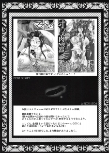 (C94) [Urakata Honpo (SINK)] Urabambi Vol. 57 Taihai no Koutetsu Fujin (Girls und Panzer) [Chinese] [不咕鸟汉化组] - page 24