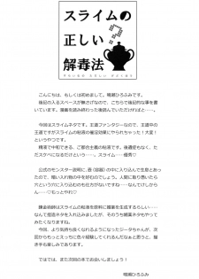 (C96) [Renai Mangaka (Naruse Hirofumi)] Slime no Tadashii Gedokuhou (Granblue Fantasy) - page 3
