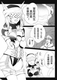 (C87) [Akai Tsubasa (Tachibana Chata)] Please teach me! (Final Fantasy XIV) [Chinese] [吃瓜小分队汉化组] - page 5