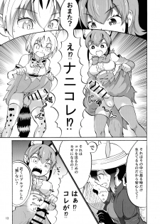 (Friends Chihou 10) [Wara Park (Various)] Kemoshiko! Kabuto Awase Goudou (Kemono Friends) - page 13