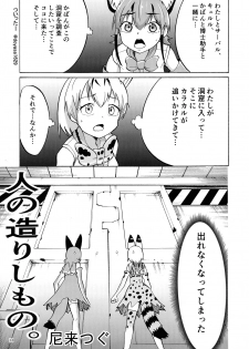 (Friends Chihou 10) [Wara Park (Various)] Kemoshiko! Kabuto Awase Goudou (Kemono Friends) - page 11