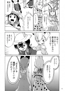 (Friends Chihou 10) [Wara Park (Various)] Kemoshiko! Kabuto Awase Goudou (Kemono Friends) - page 12