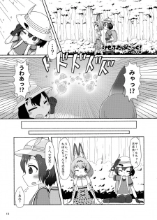 (Friends Chihou 10) [Wara Park (Various)] Kemoshiko! Kabuto Awase Goudou (Kemono Friends) - page 18