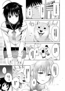 (C97) [Amakuchi Syoujo (Umakuchi Syouyu)] Shigure honey dog (Kantai Collection -KanColle-) [Chinese] [無邪気漢化組] - page 3