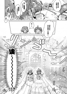 [Rope Island (Miyanoyuki)] Shalom (Star Twinkle PreCure) [Chinese] [后悔的神官个人汉化] [Digital] - page 12