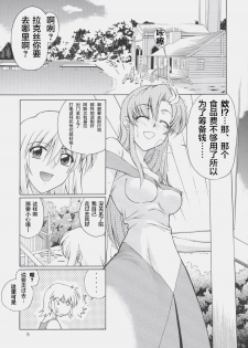 (C66) [GOLD RUSH (Suzuki Address)] Edition (Kaze) (Gundam SEED) [Chinese] [新桥月白日语社] - page 4