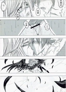 (FF12) [OriginalZero (Compendium of Materia Medica)] Ragnarok MVP Randgris (Ragnarok Online) [Chinese] - page 29