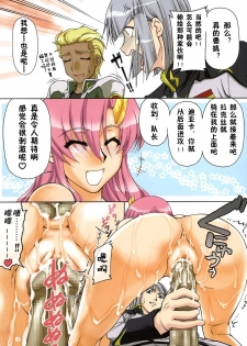 (C70) [GOLD RUSH (Suzuki Address)] Thank you! Full Color (Gundam SEED DESTINY) [Chinese] [零食汉化组] - page 5