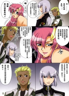 (C70) [GOLD RUSH (Suzuki Address)] Thank you! Full Color (Gundam SEED DESTINY) [Chinese] [零食汉化组] - page 11