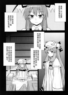 (C88) [110-GROOVE (Itou Yuuji)] Koakuma no Patchouli Kansatsuki (Touhou Project) [Chinese] [彷徨水面个人汉化] - page 3