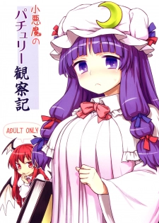 (C88) [110-GROOVE (Itou Yuuji)] Koakuma no Patchouli Kansatsuki (Touhou Project) [Chinese] [彷徨水面个人汉化] - page 1