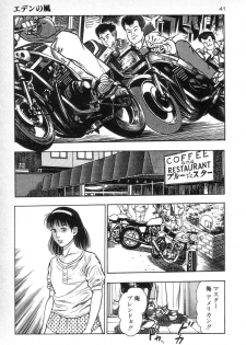 [Maeda Toshio] Eden no Kaze - page 43