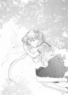 (C52) [S' SENSE, Next Generation Project (Various)] Be My Diamond! (Bishoujo Senshi Sailor Moon) - page 12
