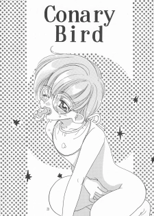 (CR24) [Jaja SKY (Kuroishi Boboro)] ROSDE CONARY BIRD -Canary Bird- (Cardcaptor Sakura) - page 29